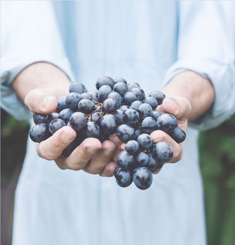 Nourish, Support and Sustain Your Health
